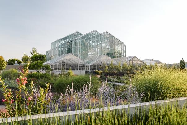 Frederik Meijer Gardens & Sculpture Park