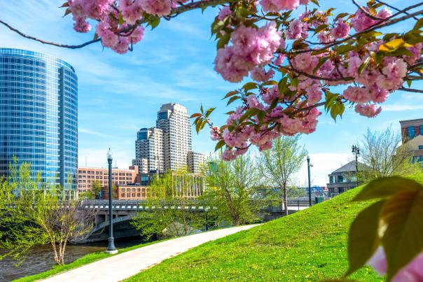 Pink cherry blossoms frame a view of a city skyline with a river and green park in the foreground.