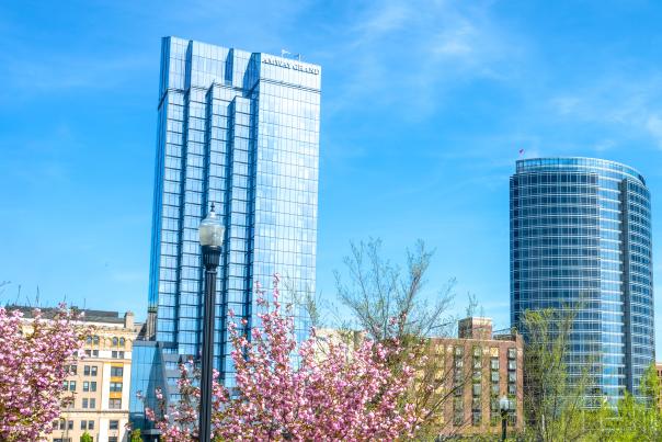 A winding path through a grassy park with blooming cherry trees leads to a city skyline of modern skyscrapers under a bright blue sky.