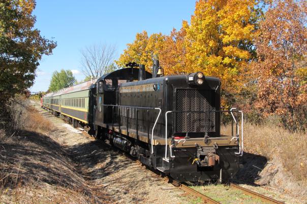 Ride the Coopersville Pumpkin Train for a day full of fall festivities! After the train ride, children can pick out a pumpkin to take home.