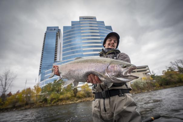 Angler holding a steelhead in the Grand River