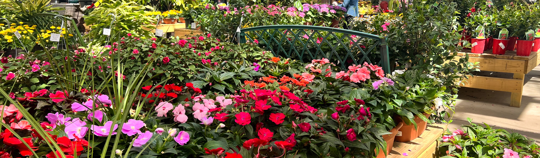 Greenhouses and Markets in the Grand Rapids Area