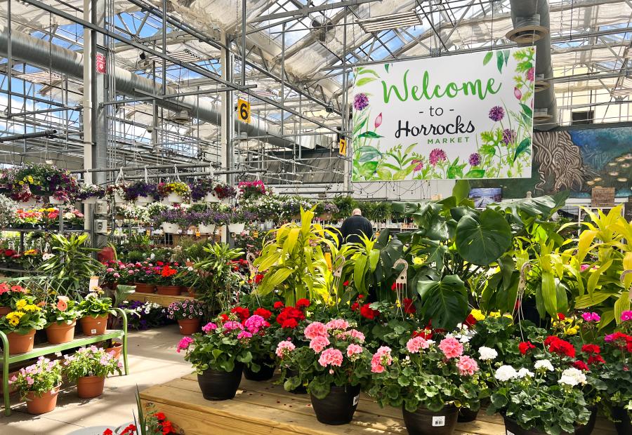 Greenhouses and Markets in the Grand Rapids Area