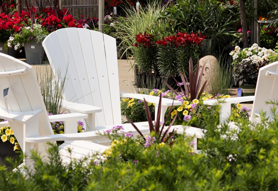 Greenhouses and Markets in the Grand Rapids Area