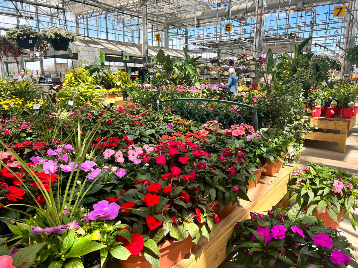 Greenhouses and Markets in the Grand Rapids Area