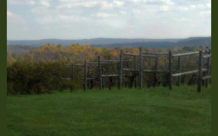 Christian W. Klay Winery