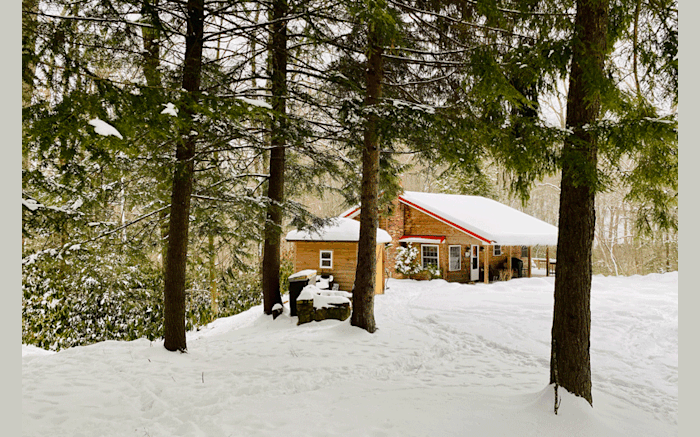The Bear Paw Cabin