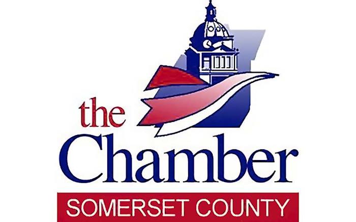 Chamber logo