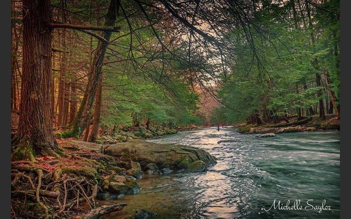 Laurel Hill Creek - Photo Credit: Michelle Saylor