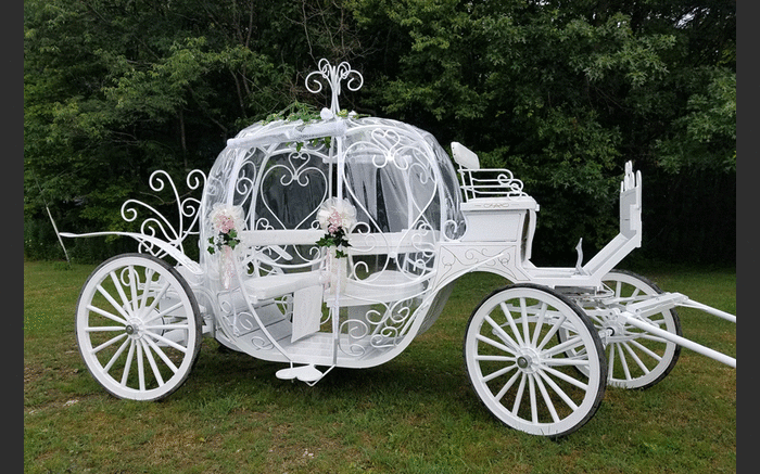 Horsing Round Carriage Service