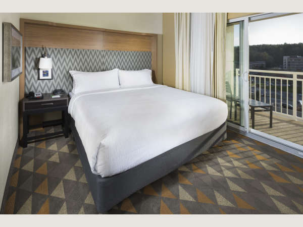 Holiday Inn And Suites Asheville Biltmore Village Area