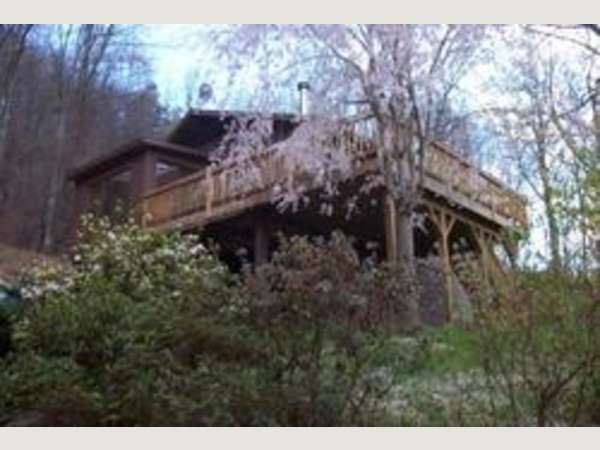 Asheville Connections Luxury Vacation Rentals Asheville Nc S