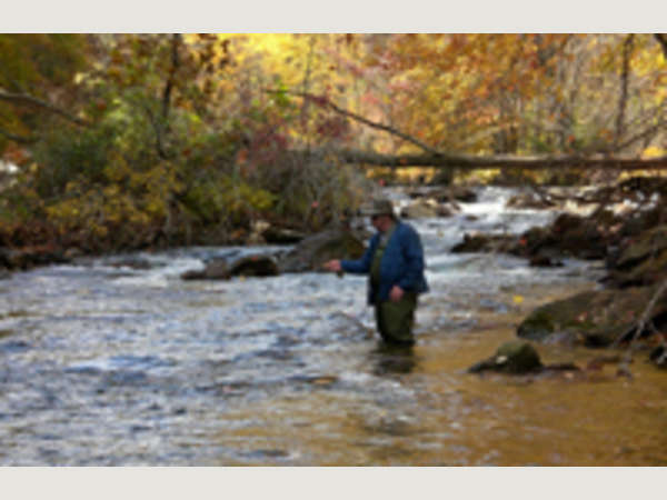 Altamont Anglers Fly Fishing Guides Asheville Nc S Official Travel Site