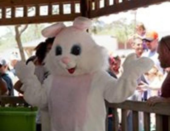 Myrtle Beach Holiday Hotel Deals Amp Packages Visit Myrtle
