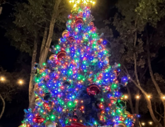 Surfside Beach Christmas Tree Lighting