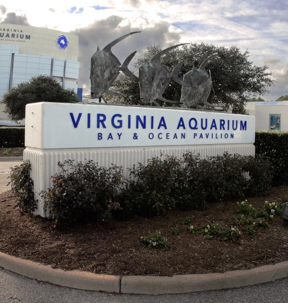 Virginia Aquarium & Marine Science Center
