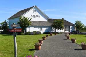 New York Farm Tours Orchards Dairy Farms Local Foods