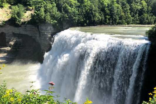 New York Campgrounds Find Info On Camping In New York State