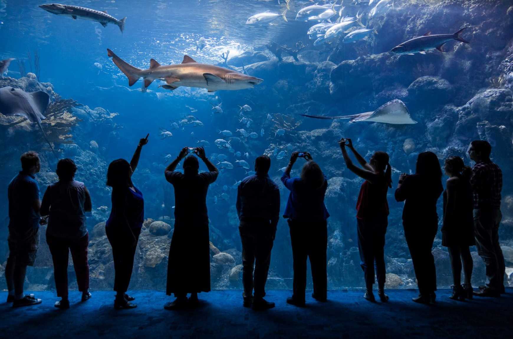 Florida Aquarium Tampa Map The Florida Aquarium