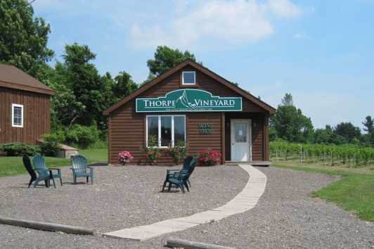 Thorpe Vineyard Wolcott Ny 14590