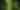 Reconnect with Nature Forest Bathing experience