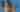 Paws on the Plaza: A Pet Event