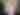 I'm Curious About… Trans rights & celebrity life | Frensham Heights