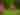 May half term - The Great Garden Game-a-thon | RHS Garden Wisley