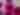 Visitors' Dahlia Competition | RHS Garden Wisley