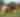 MSU Barns - University Farms / Animal Science Dept