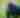 Te Anau Bird Sanctuary