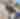 A Doggy Day Out! Pet friendly things to do with your dog in Las Cruces, NM