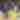 Minnesota Timberwolves