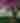 Burgdorf's Winery LLC