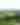 Newlands Corner