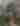 Walnut Hill Farm Bed and Breakfast, LLC