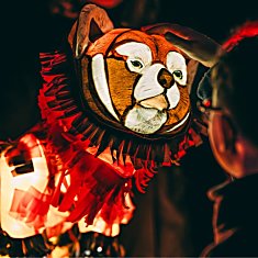 Lanterns and Light at Chester Zoo