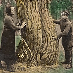 Self-Defined. New Stories From Archives