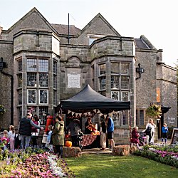 Sugar & Spice Festival