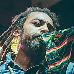 The Marley Experience