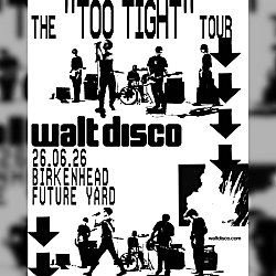 Walt Disco