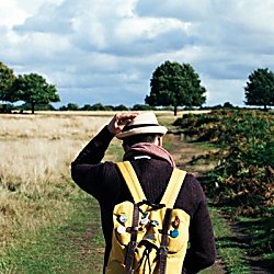 Toddler Waddle at Lunt Meadows