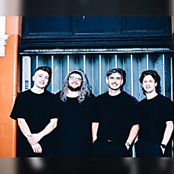 The Elephant Sessions