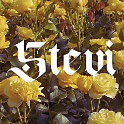 Music for Stevi