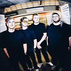 The Elephant Sessions