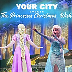 The Princesses Christmas Wish