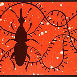 Bugs Are Us: Easter family workshops