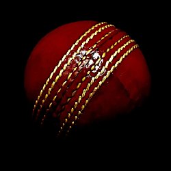 The Lashings v Burscough Cricket Club