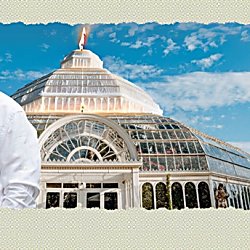 WoW’s 25th Birthday Party with Frank Cottrell-Boyce