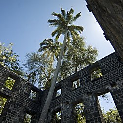 Shiraz Bayjoo: Ile de France